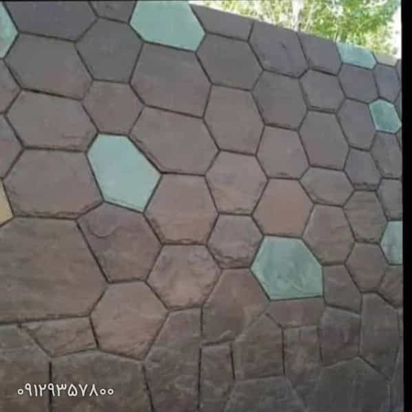 1701242468481.webp